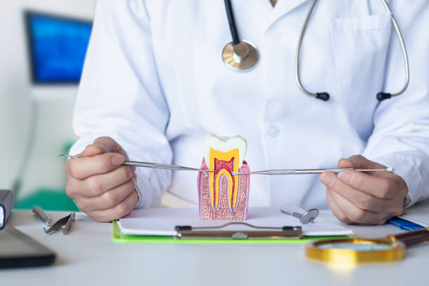 Best Emergency Dental Care for Abscessed Tooth in Kane, PA